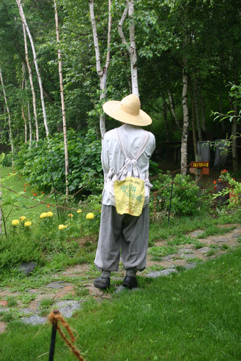 도법스님의 뒷모습(2007. 여름 횡성군 우천면 자작나무숲미술관에서)