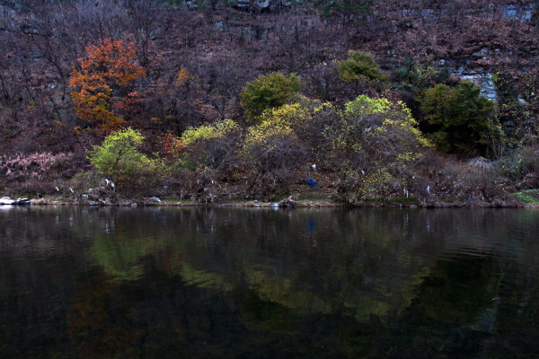 경남 산청군 양천강과 경호강이 만나는 두물머리에 비친 산과 나무는 파스텔로 그린 그림처럼 따뜻하다. 이미 가버린 가을의 끝자락을 움켜쥐고 있다.