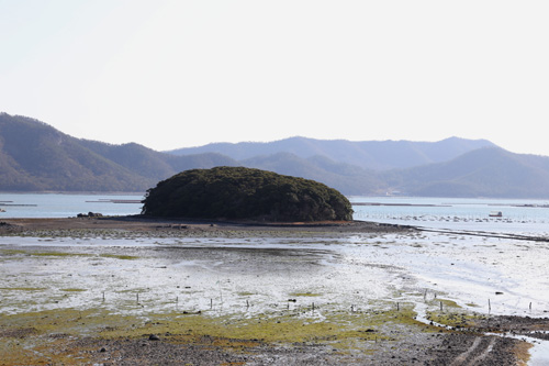 마량 앞바다에 떠있는 까막섬 풍경. 썰물이 돼 모습을 드러낸 섬이 한 폭의 수묵화 같다.