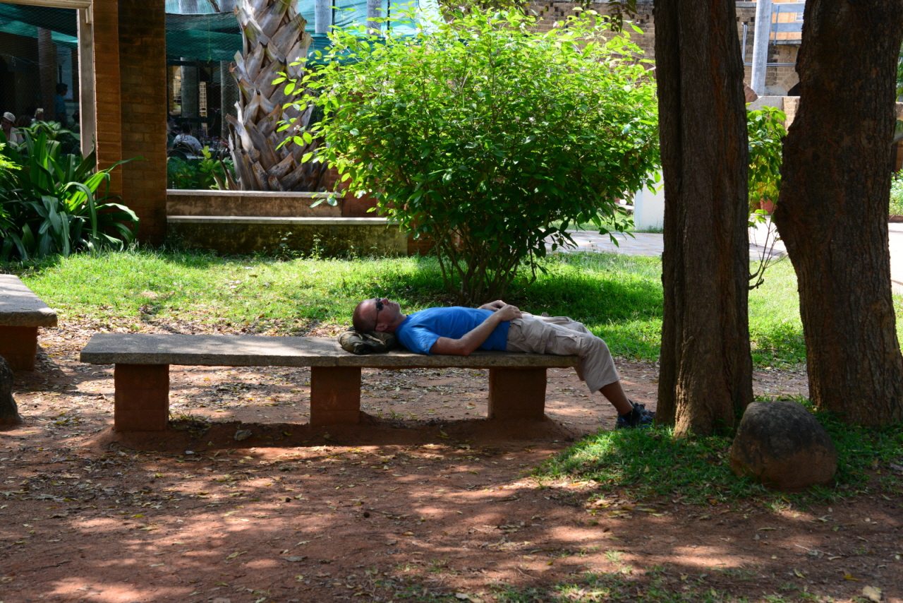 오로빌 공동체 방문자 센터 앞 정원에 누워 있는 여행자