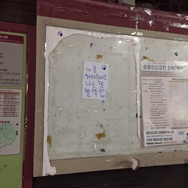 지난 9일, 고려대학교 정경대학 후문에 게시된 '김일성 만세' 대자보가 훼손되자 그 자리에 '새오체'를 사용한 작은 자보가 붙었다. 촬영은 고려대학교 재학생 이정민씨.