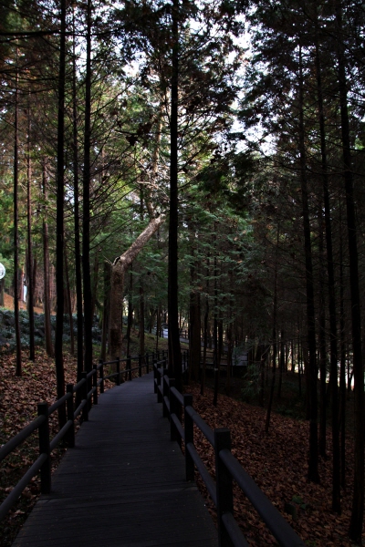 경남 진주 진양호에는 한적한 산책로가 곳곳에 있다.