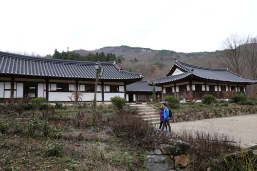 선암사로 가는 길에 만나는 전통 야생차 체험관. 한옥으로 옛집의 분위기가 묻어난다.