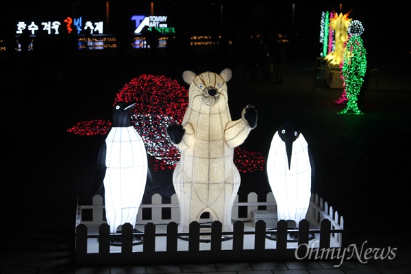  고양 호수공원에서 ‘2015 호수 겨울꽃빛축제’가 열리고 있다. 
