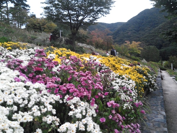 병목안시민공원에서 바라본 수리산