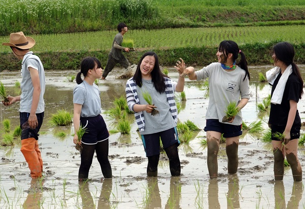 홍동중 학생들의 손모내기 모습. 자연과 더불어 사는 생태적 삶을 실천하고 있다. 