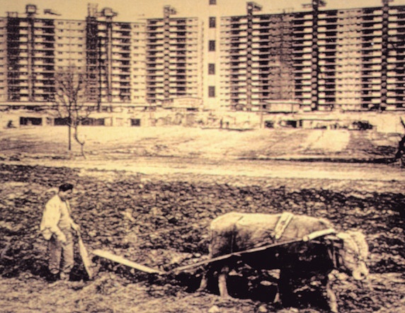 1978년 강남 압구정동의 모습. 한편에서는 농부가 소를 몰아 밭을 갈고 있고, 다른 한 쪽에서는 압구정동 현대아파트 건설이 한창이다.