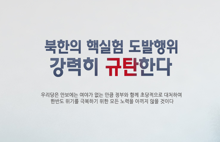 더불어민주당 배너 더불어민주당 역시 북핵실험을 강력히 규탄했다