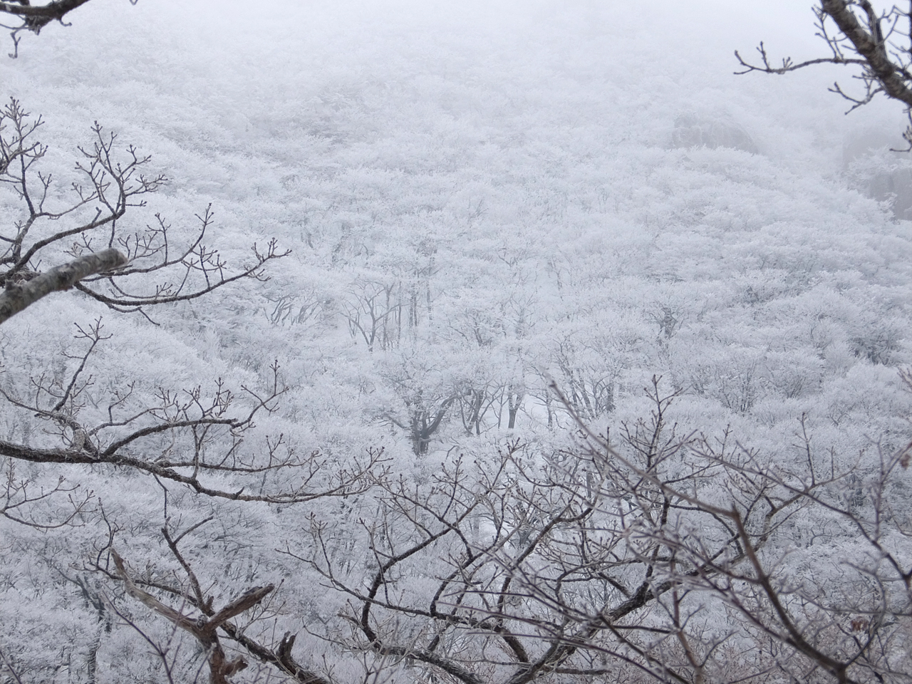  겨울 한라산에서만 볼 수 있는 아름다운 설경.