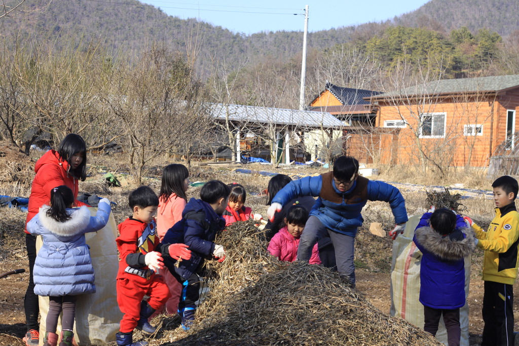 산양의 주 먹이인 콩깍지를 옮기는 작업 아이들에게는 일 자체가 놀이가 된다.조금이라도 더 옮기려고 진지한 모습들