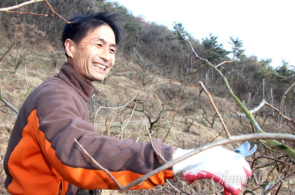  농협중앙회 회장 선거에 나섰다가 낙선한 김순재 전 창원동읍농협 조합장이 14일 자신의 과수원에서 감나무를 손질하면서 웃고 있다.