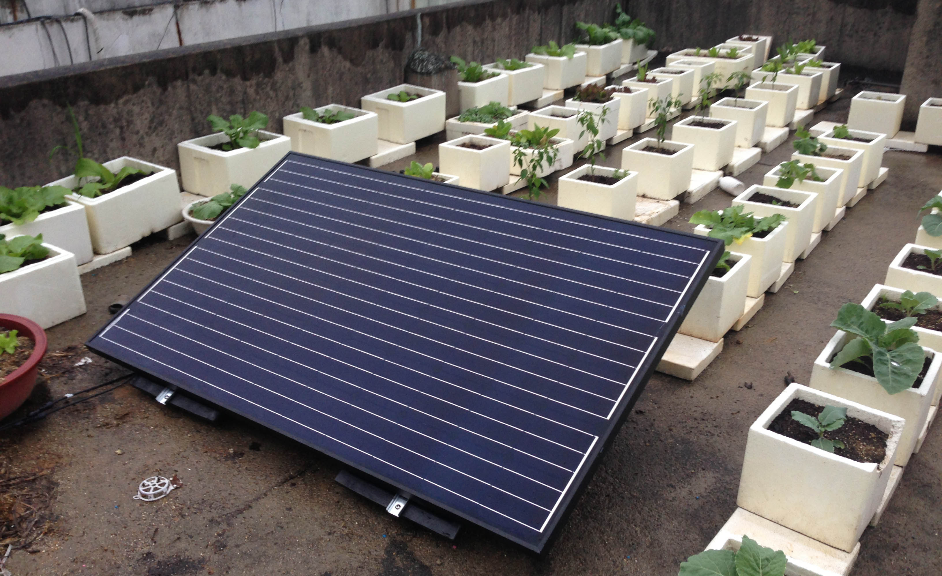 단독주택 옥상에 설치된 주택형 태양광 미니 발전소.