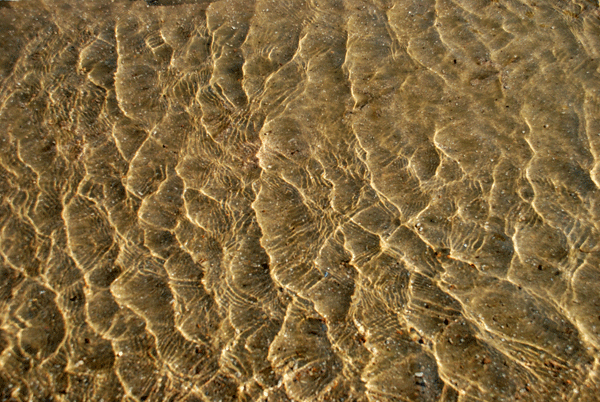 낮은 수심에 맑은 모래강은 여전히 살아 움직이고 있다. 햇살에 눈부시게 아름다운 내성천 모래톱.