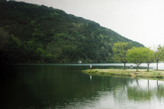 속칭 '화갑'이라 부르는 중화1리의 마을 어귀에서 본 낫질못의 봄 풍경