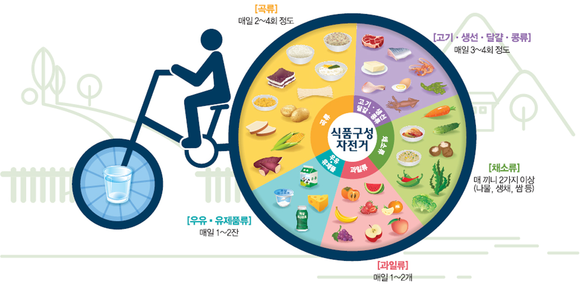 식품구성자전거 *출처 : 보건복지부, 2015 한국인 영양소 섭취기준, 2015