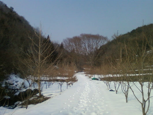 원골의 암고랑 원골의 암고랑 가는 길. 중앙의 정자나무 있는 곳에서 대량 민간인 학살이 있었다.