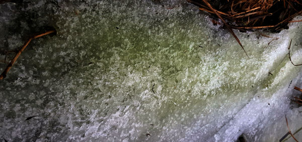 금강의 얼음판이 얼음덩어리 속에 스며든 녹조로 푸른색을 띠고 있다. 