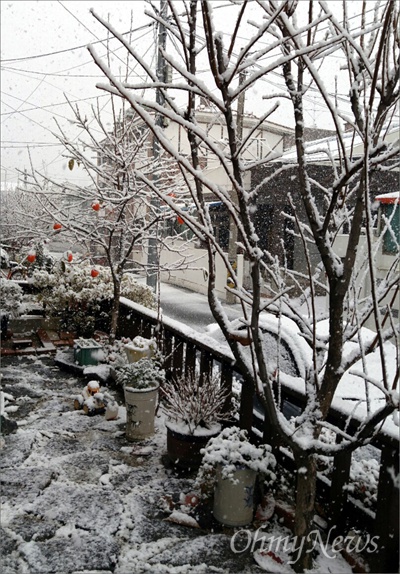 담이 없는 우리 집 앞마당의 눈 내린 겨울 풍경. 나름 멋있기도 하지만 단독주택의 겨울나기는 추위만큼 매섭다.