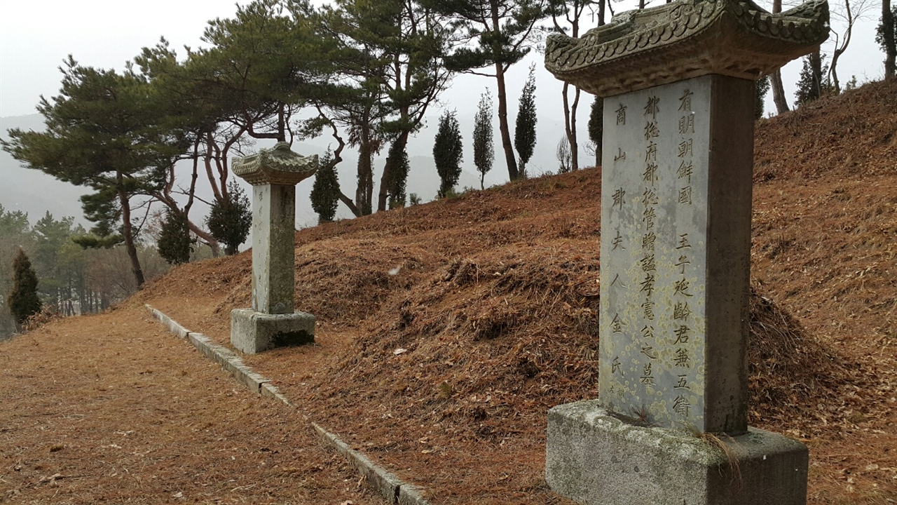 서울에 있던 연령군의 묘는 1940년 모친 명빈박씨 옆으로 옮겨졌다.