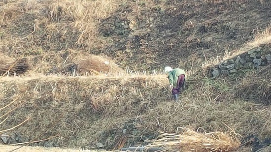  지리산둘레길에서