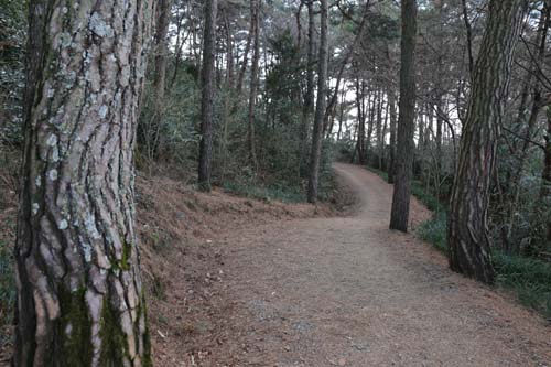  월출산 기찬묏길. 산의 허리춤을 따라 싸목싸목 거닐며 산이 내뿜는 기를 호흡할 수 있다.