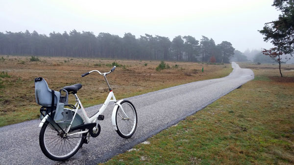 숲과 초원, 사막이 광활하게 펼쳐진 공원 내 교통수단은 자전거가 사실상 유일하다. 