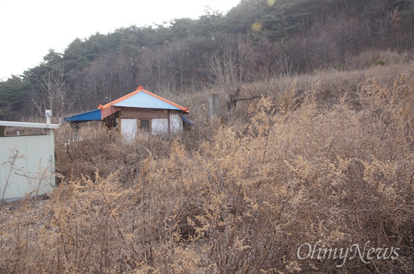 강석호 의원의 부인이 구입한 경북 영양군 일월면 곡강리 292-3번지. 이 땅은 농지로 되어 있어 농사를 지어야 하지만 풀만 무성하다. 농지법 위반과 투기 의혹이 일고 있다.