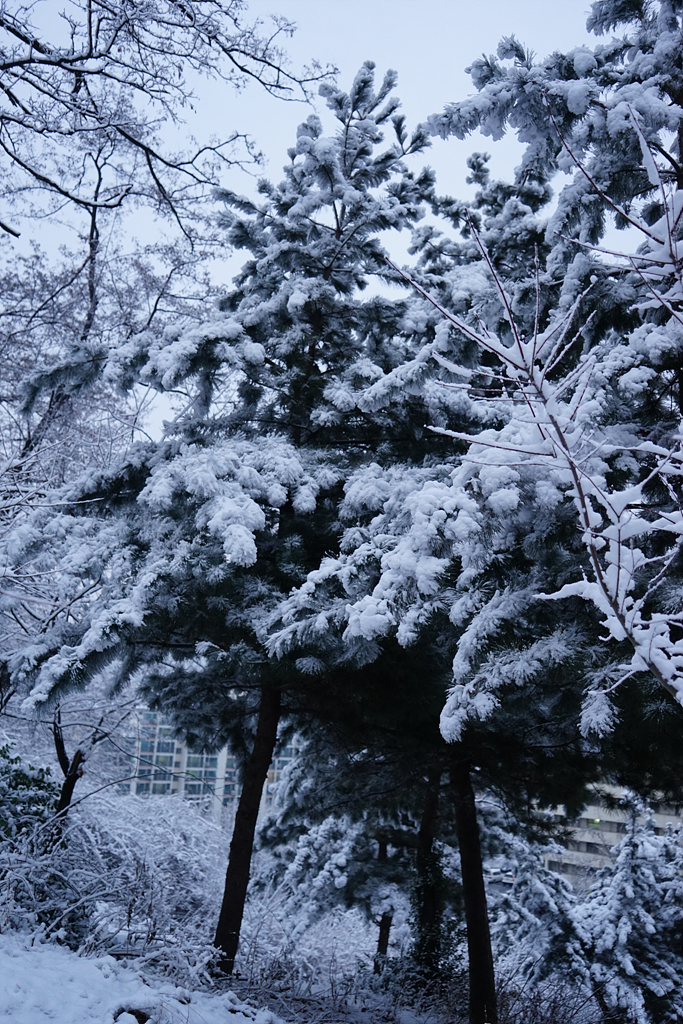 눈내린 봉산