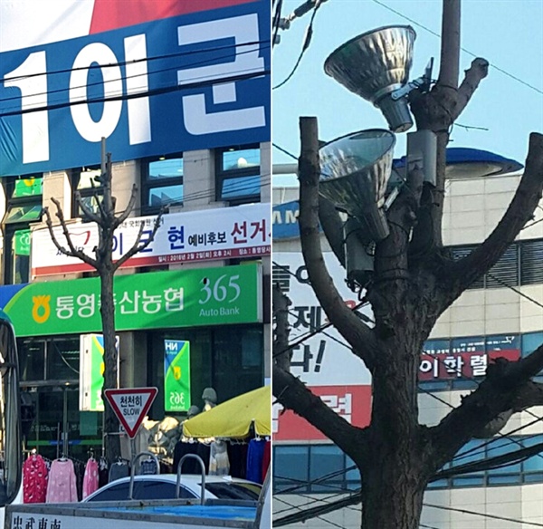 경남 통영시청은 지난해 10월말 북신동에 있는 가로수 3그루에 대해 가지를  잘라내는 작업을 벌였고, 새누리당 이군현 의원 사무실은 지난 2월 1일 펼침막이 잘 보이도록 하기 위한 의도로 가로수에 조명시설(오른쪽 사진)을 설치했다가 통영시청으로부터 요청을 받아 철거했다.