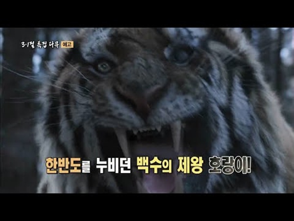 KBS <발굴추적, 조선 정예부대 타이거 헌터>의 한 장면.