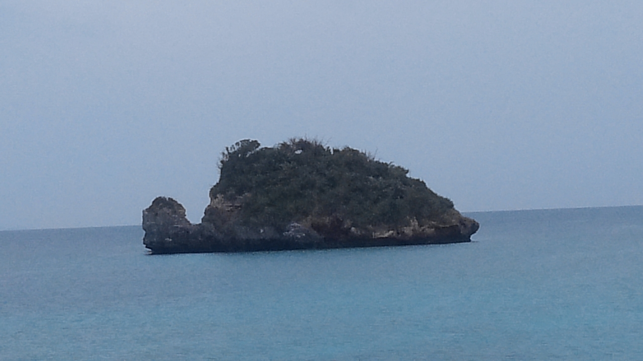 거북이 모양을 한 섬이 눈앞에 있다.
