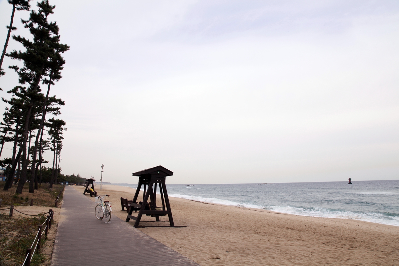 우리나라 3대 해변 중 하나로 백사장이 6km나 되어서 걷기 좋은 길이다
