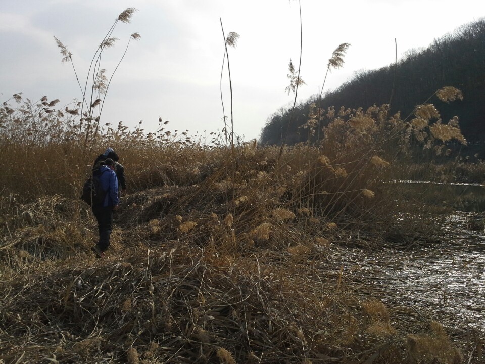 오산천 조사하던 날. 봄바람이 불었다. 똥 냄새야, 풍겨라!!