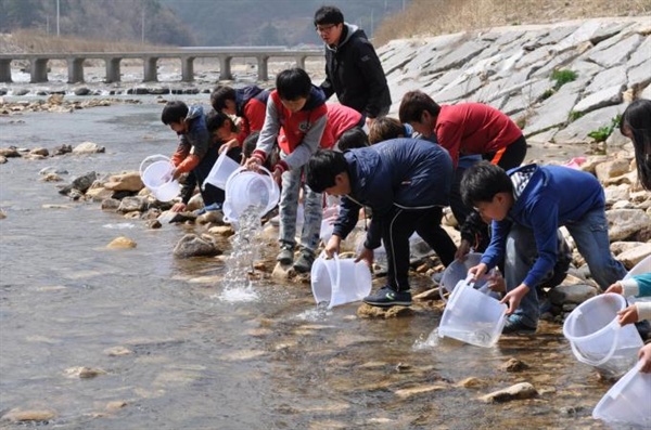 경상남도 수산자원연구소 민물고기연구센터는 8일 섬진강에 연어 치어를 방류했다.