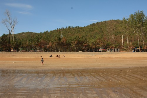 우리 식구가 사는 전남 고흥 발포 바닷가. 2012년 가을 모습이다. 이때까지만 해도 바닷가를 에워싼 숲이 무척 푸르며 고왔다.