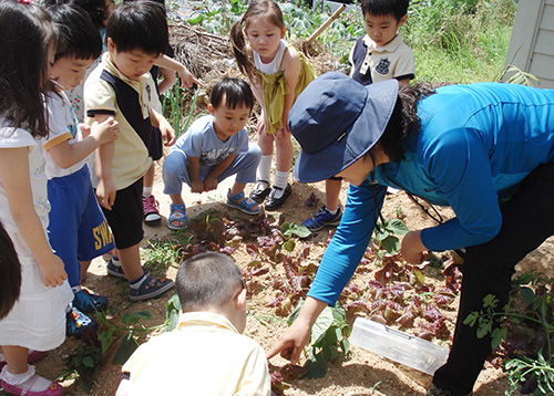 인천도시농업네트워크 생태텃밭 강사가 아이들에게 교육을 하고 있다.