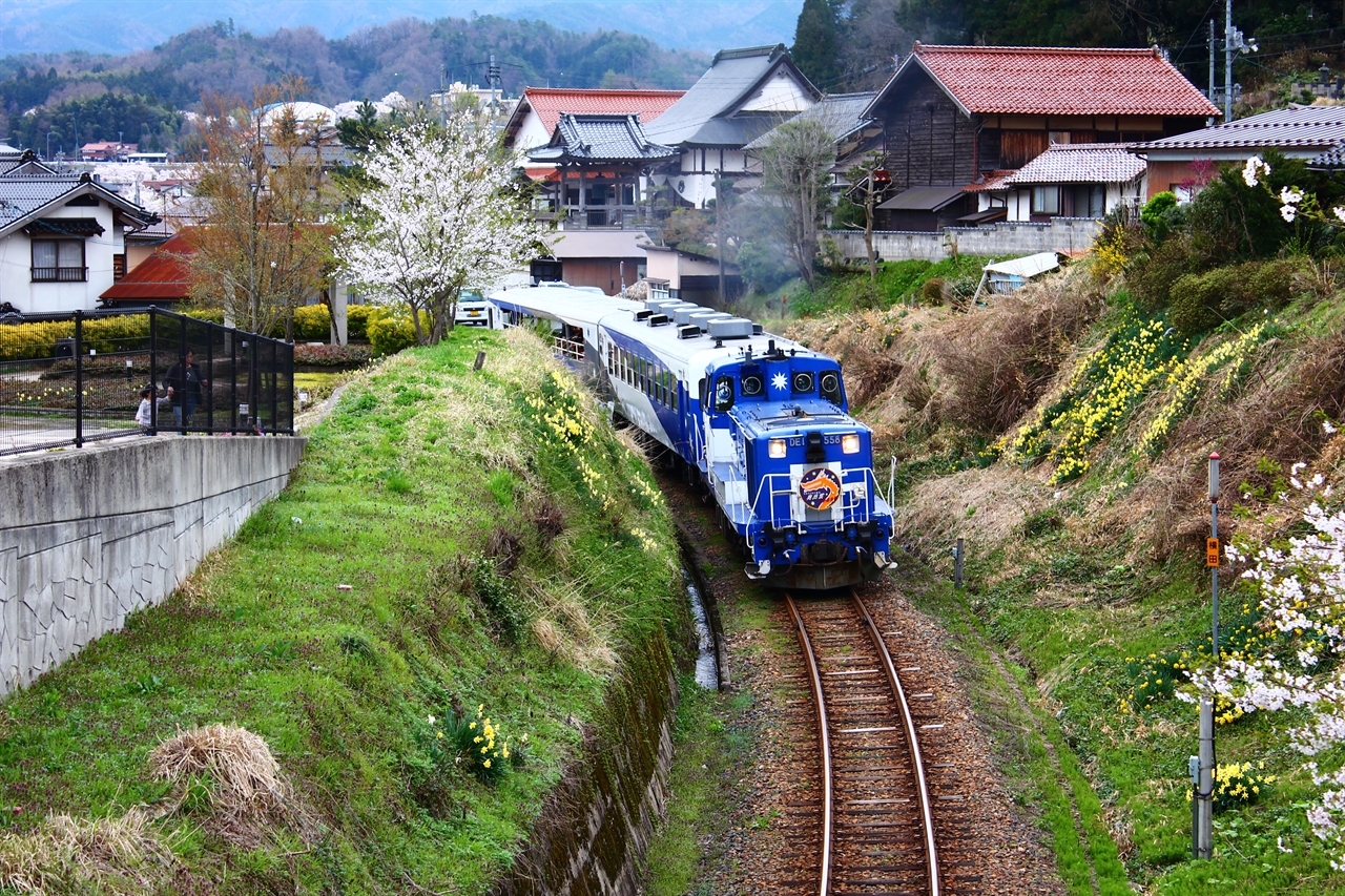  봄을 향해 달리는 오쿠이즈모오로치호.