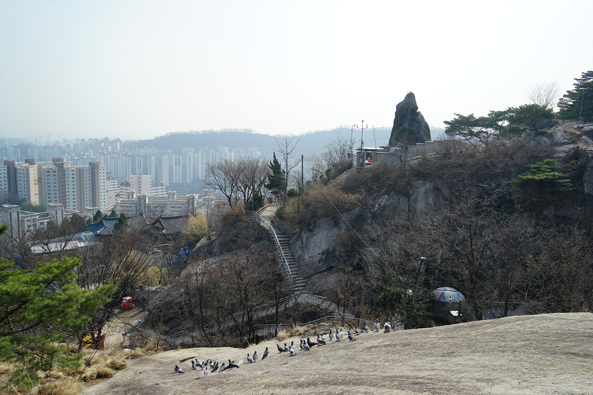  선바위와 비둘기