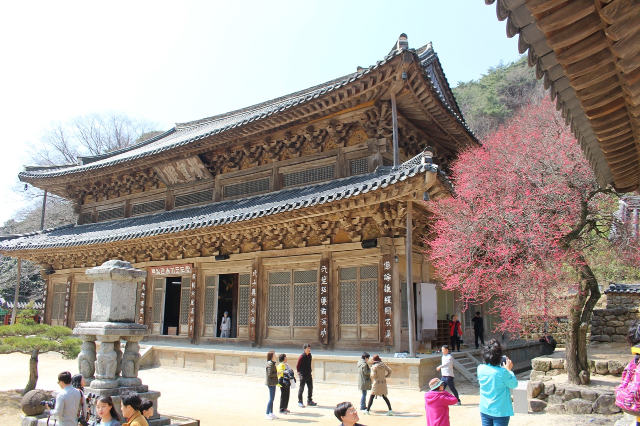 구례 화엄사 홍매화 내비 없는 전국일주, 그 두 번째로 남도여행을 택했다. 유명하다는 화엄사 홍매화.