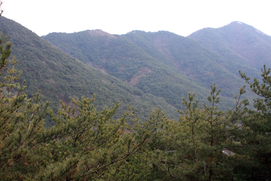  망월산에서 바라본 경산 쪽 풍경. 욱수골 계곡 약 100미터 정도의 폭을 사이에 두고 힘차게 솟아있는 성암산 줄기에 가로막혀 아무 것도 보이지 않는다.