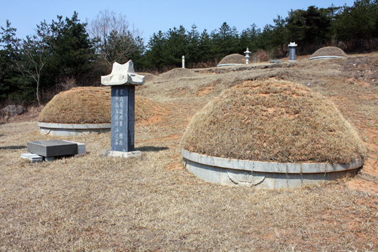  박응성 의병장의 산소. 뒤로 의병장의 아버지 박인(朴麟)의 묘가 보인다.