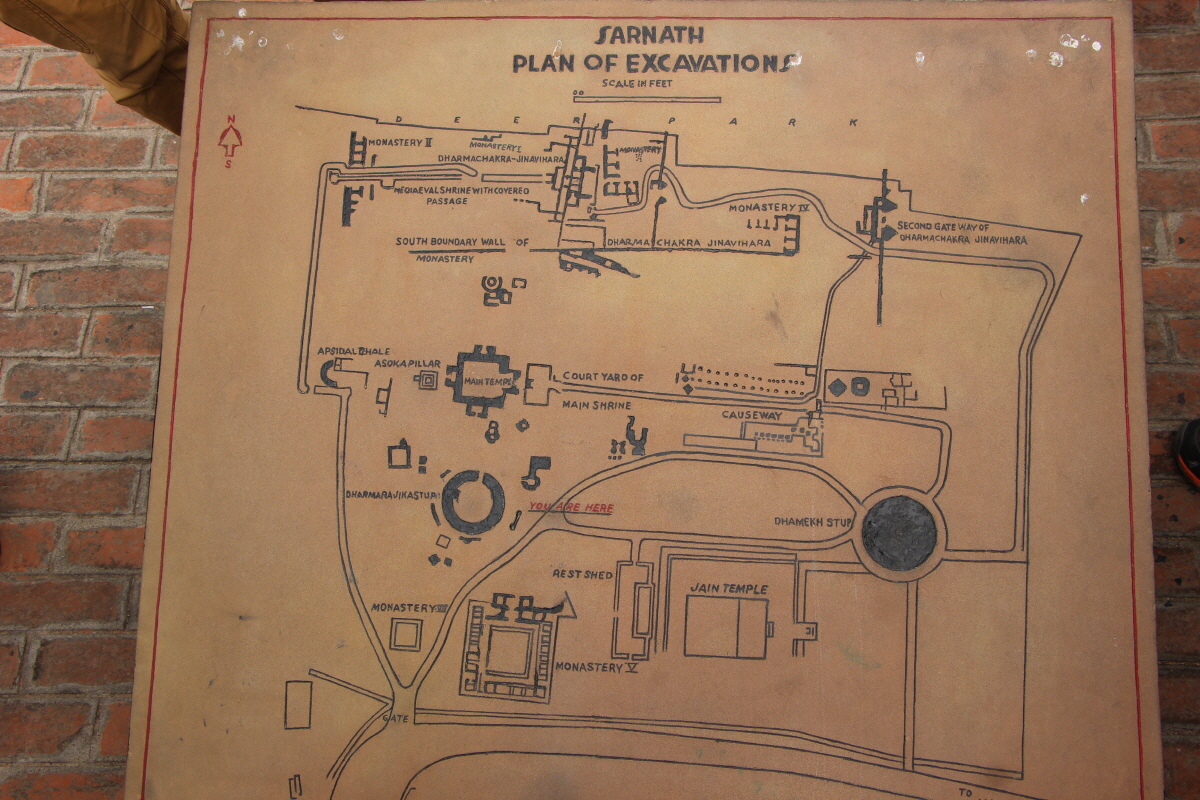  사르나트 유적지 평면도