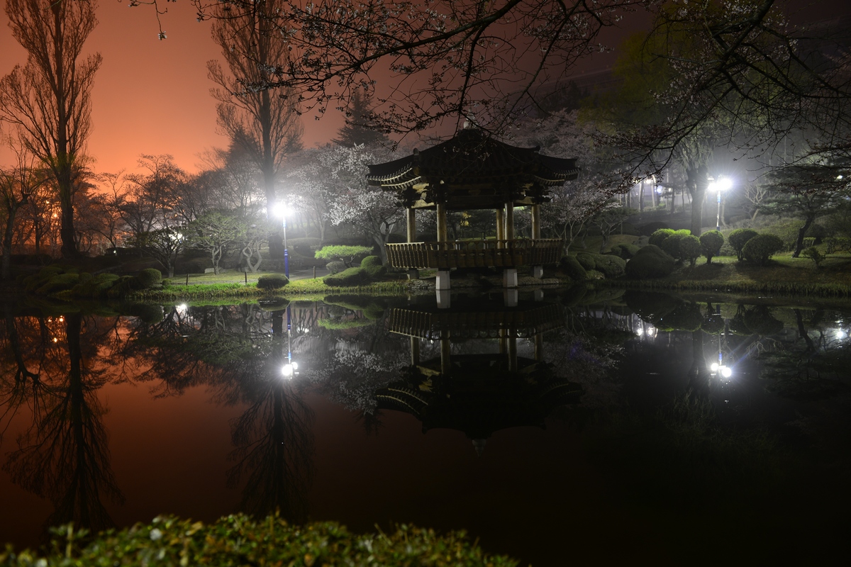 야경 사진, 벚꽃과 정자와 연못이 조화를 이룬다. 