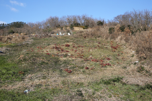 진도주민들이 만든 일본군의 무덤인 왜덕산. 명량에서 이순신 장군과 조선수군에 의해 수장된 일본군의 시체가 바닷가에 밀려들자 주민들이 이를 거둬 여기에 묻어 주었다.