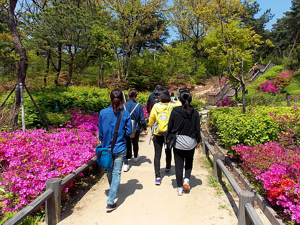 서울내부트레킹에 참가한 분들을 찍은 사진이다. 이 구간은 버티고개인데 꽃길이 예쁘게 조성되어 있다. 