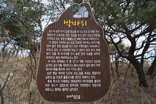 구룡포 박바위
