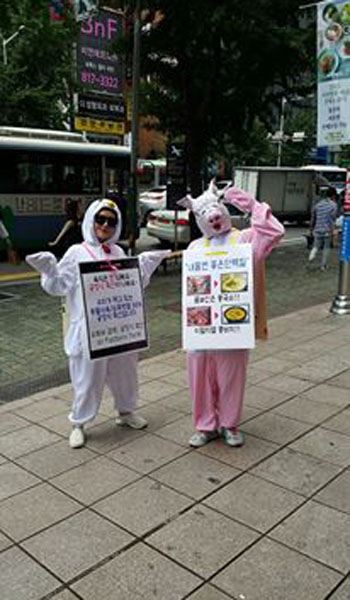 '공장식 축산 반대' 거리 캠페인 