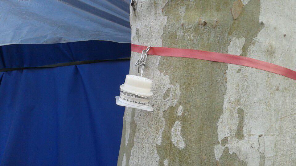 소음없이 간편하게 공기 중 미세먼지 농도를 체크하는 간이 측정기구인 패시브 샘플러를 관광버스가 상습적으로 불법주정차하는 광나루뷔페 인근 나무에 설치하였다. 