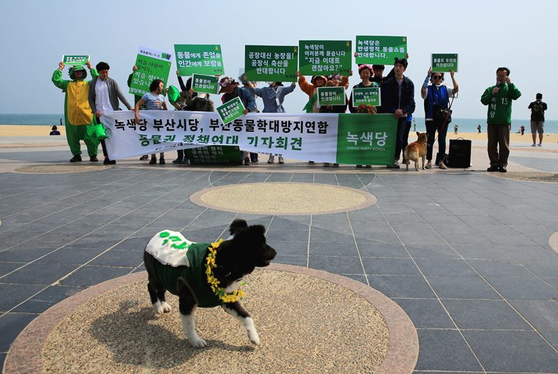 녹색당 부산시당과 부산동물학대방지연합이 함께 해운대에서 동물권정책을 알리는 기자회견을 가졌다. 