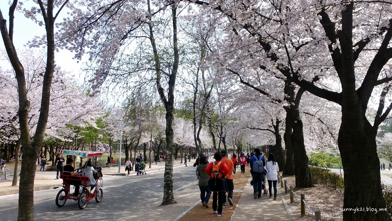 봄날의 절정을 만끽하고 있는 인천시민들. 